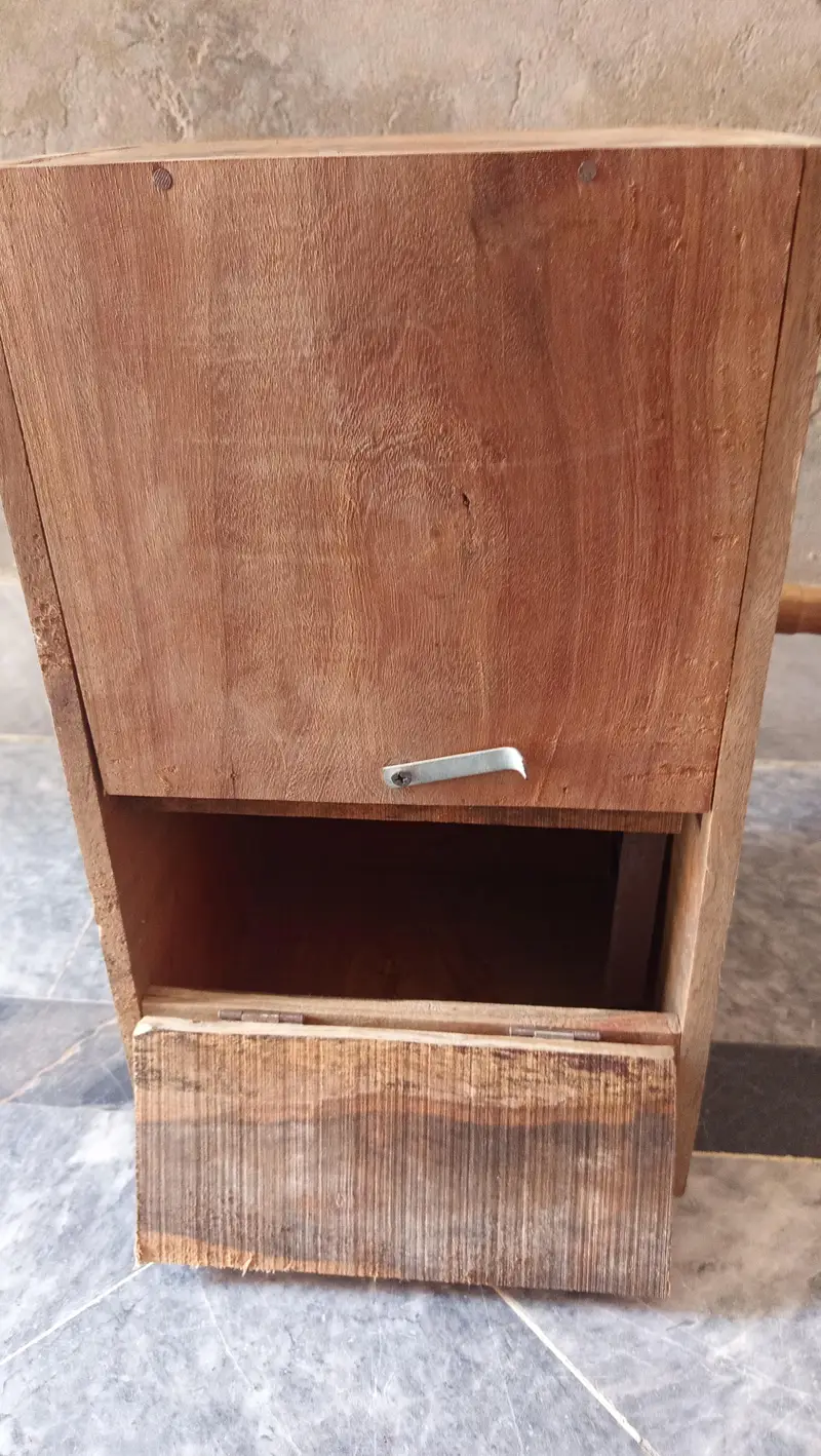 Green Ringneck breading box — photo 3