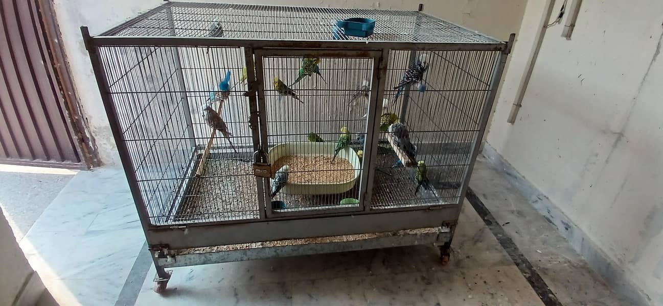flight cage 2 portion 0