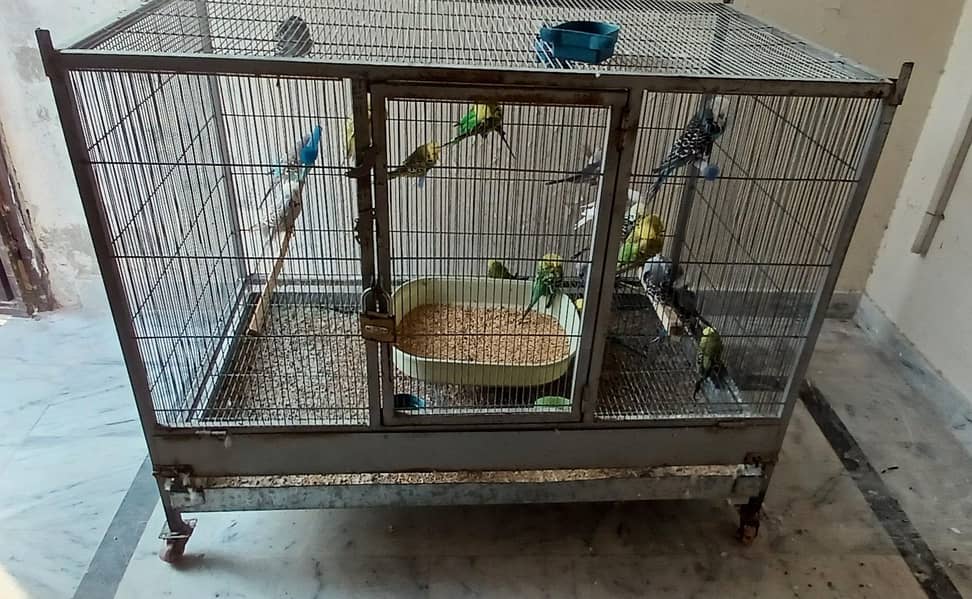 flight cage 2 portion 1