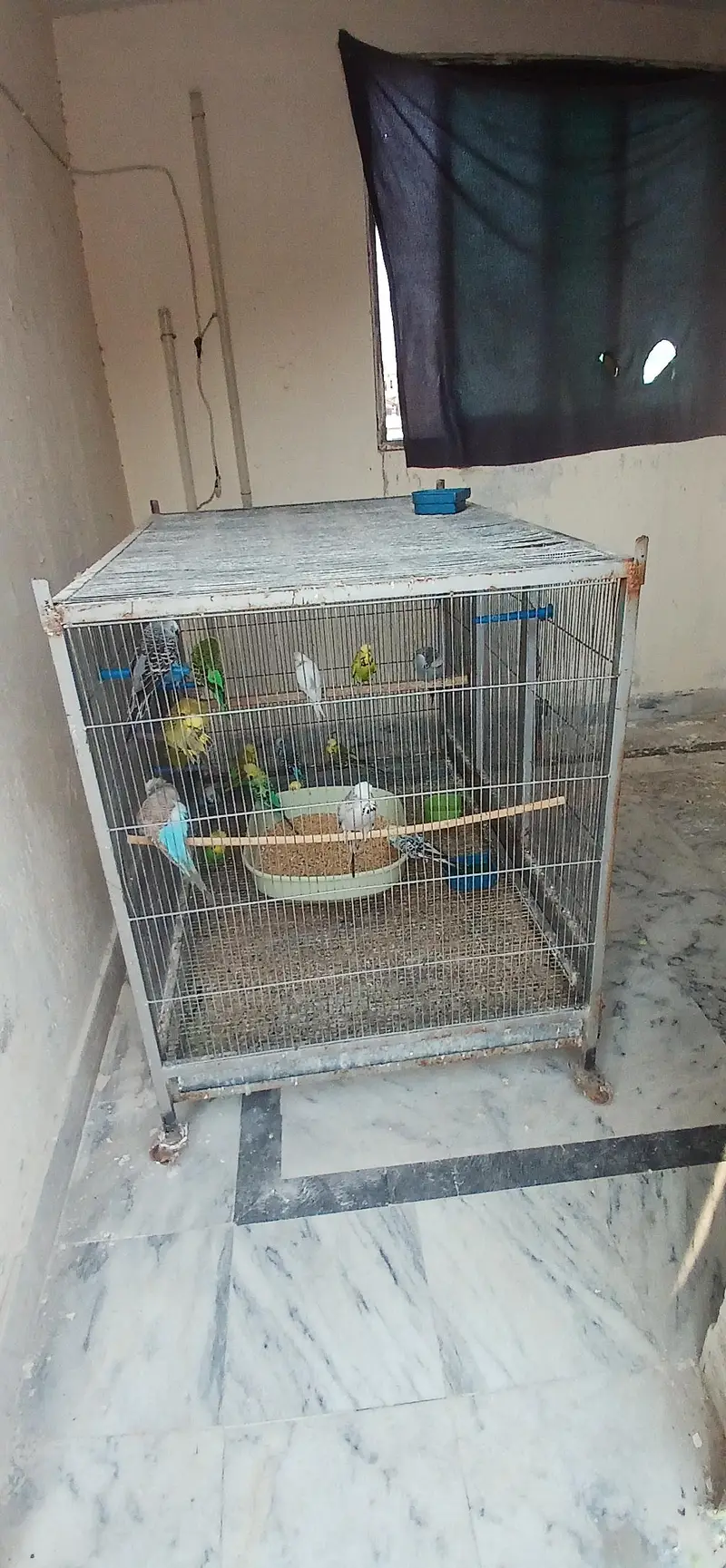 flight cage 2 portion — photo 3