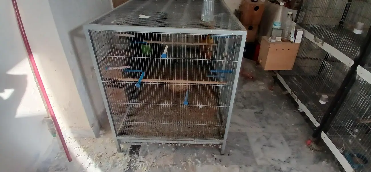 flight cage 2 portion — photo 4