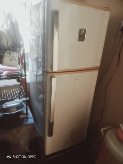 Fridge medium size