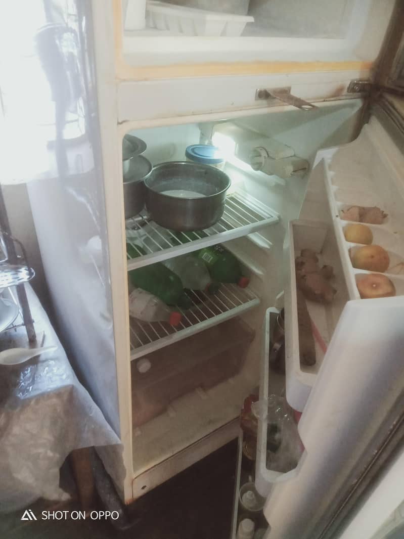 Fridge medium size 2