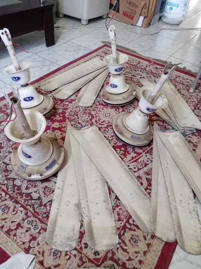 Ceiling Fan 56" (Pak Fan)