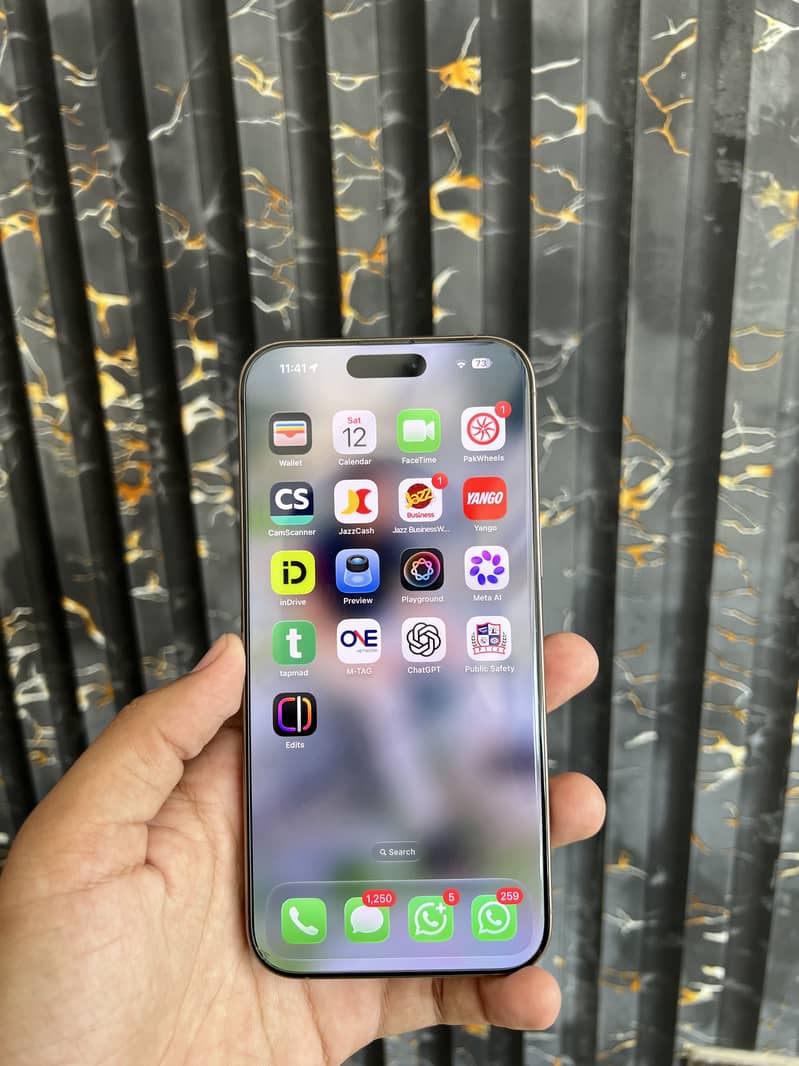 Apple iPhone 16 Pro Max 1