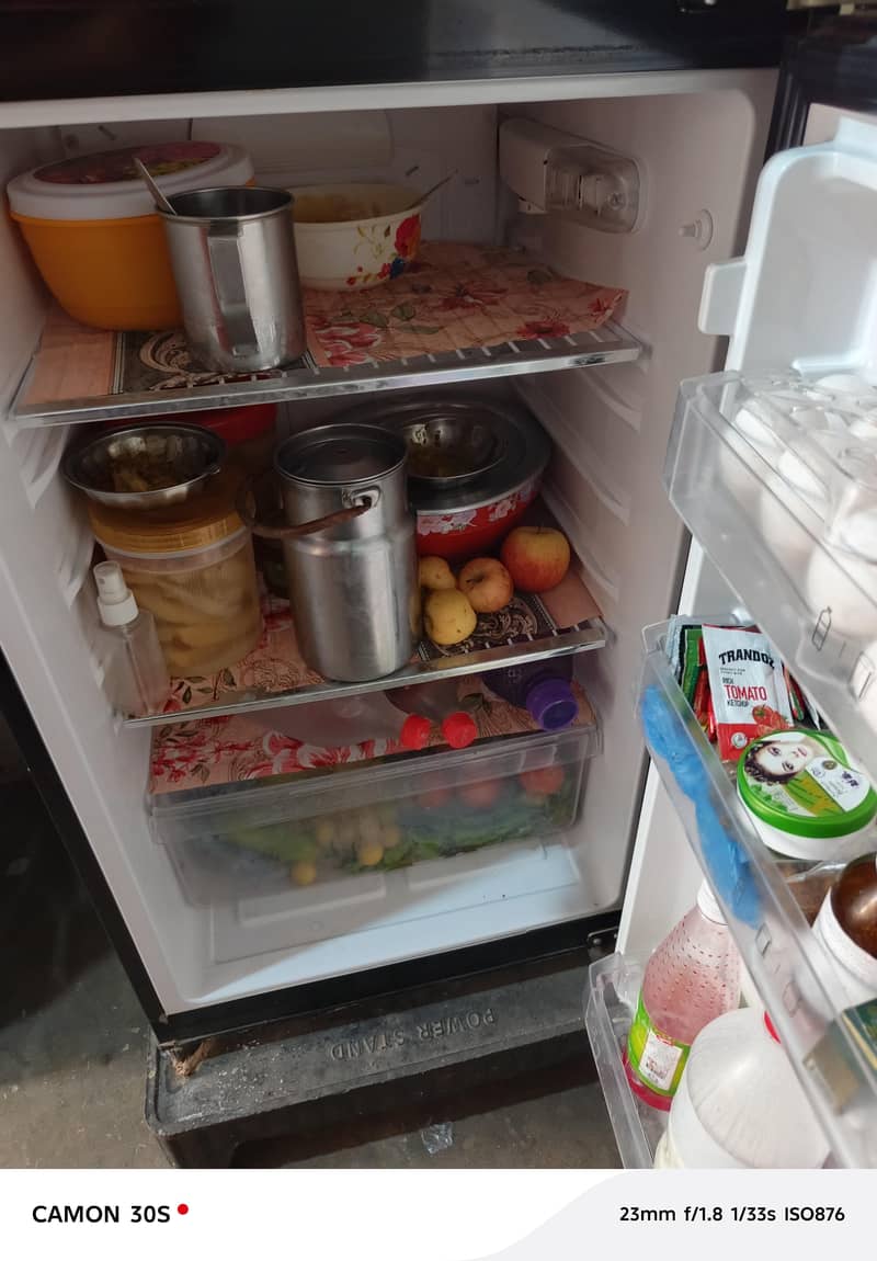pel Fridge 1