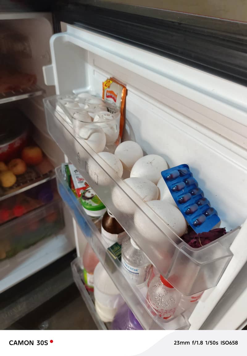 pel Fridge 2