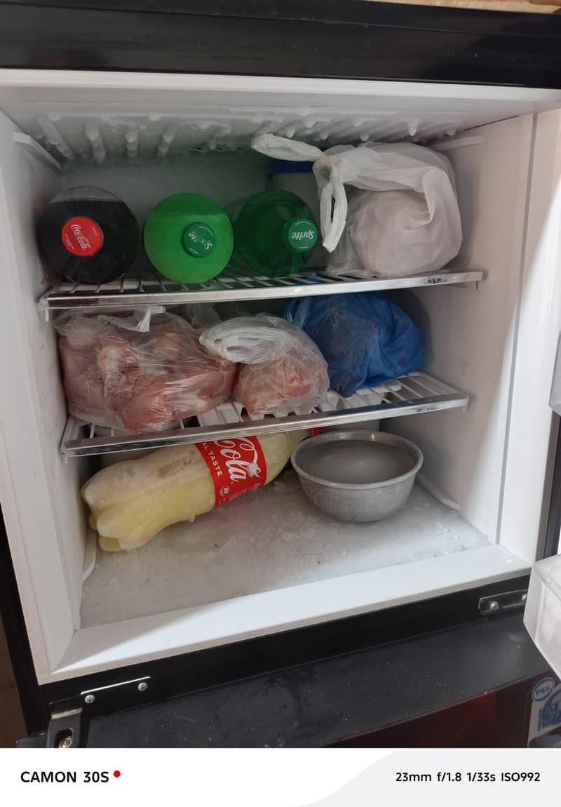 pel Fridge 3