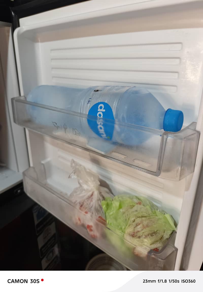 pel Fridge 4