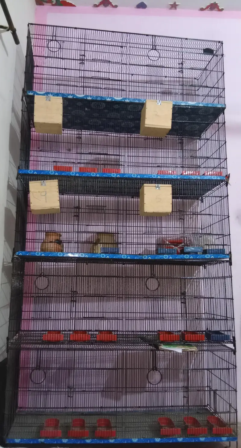 Cage for Java, Finch, Dove, Love Birds, Cocktail and Ringneck — photo 2