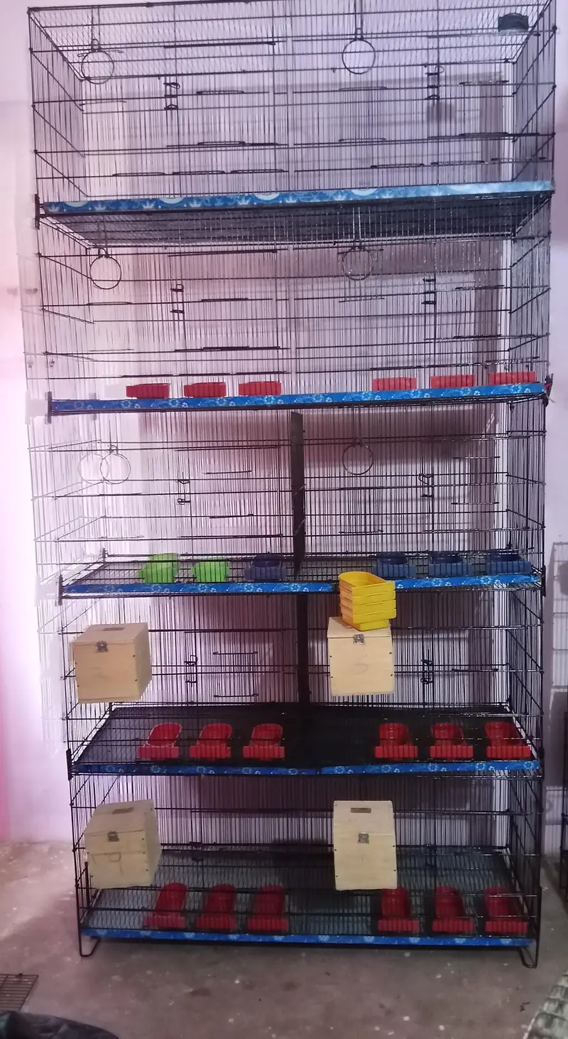Cage for Java, Finch, Dove, Love Birds, Cocktail and Ringneck — photo 5
