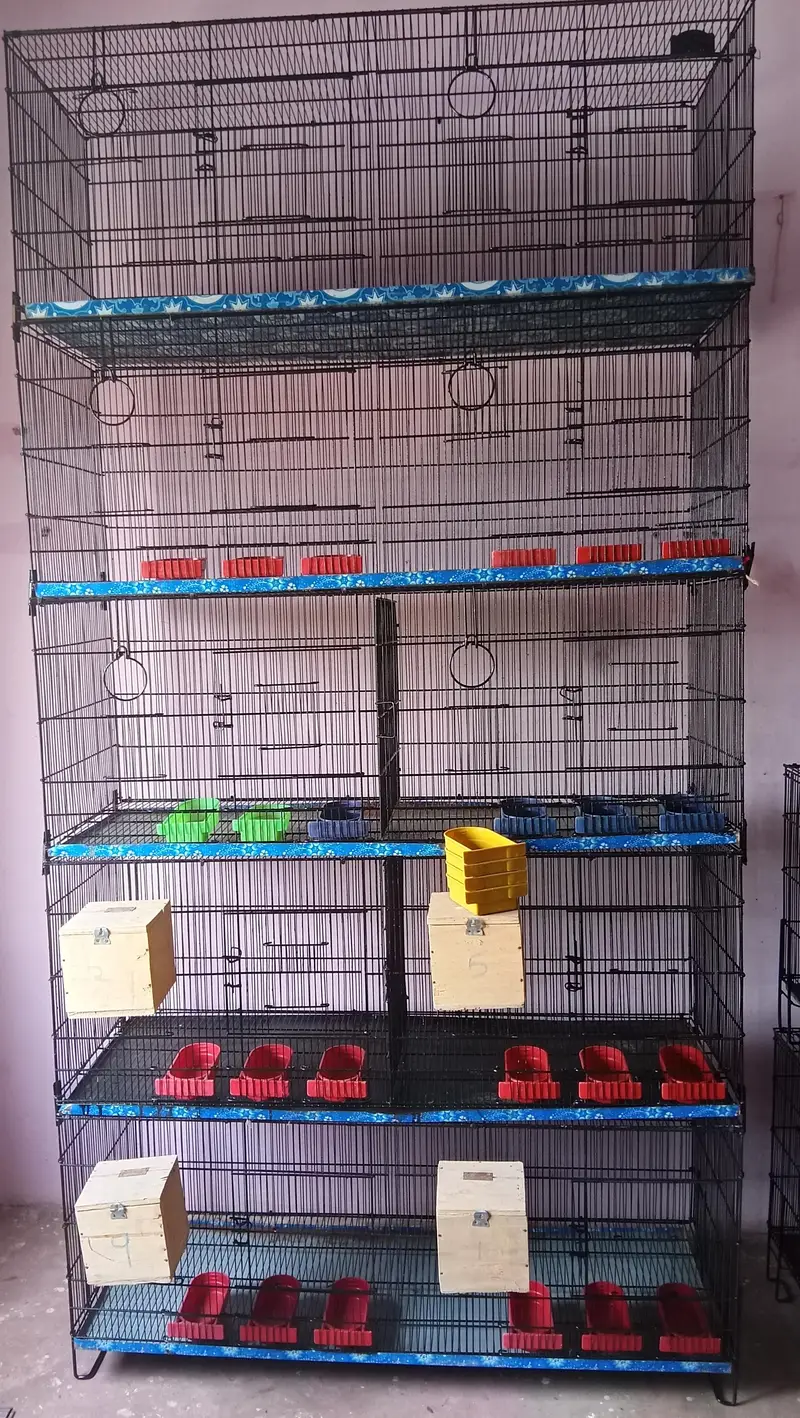 Cage for Java, Finch, Dove, Love Birds, Cocktail and Ringneck — photo 6
