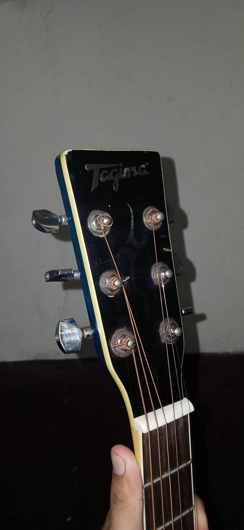 Guiter 6