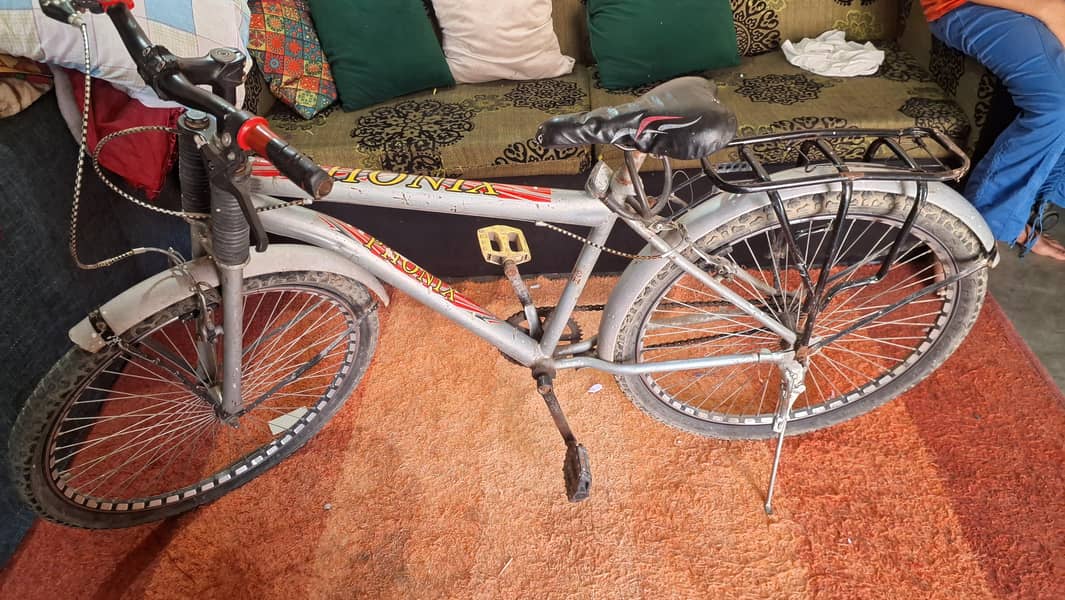 Pheonex Cycle 1