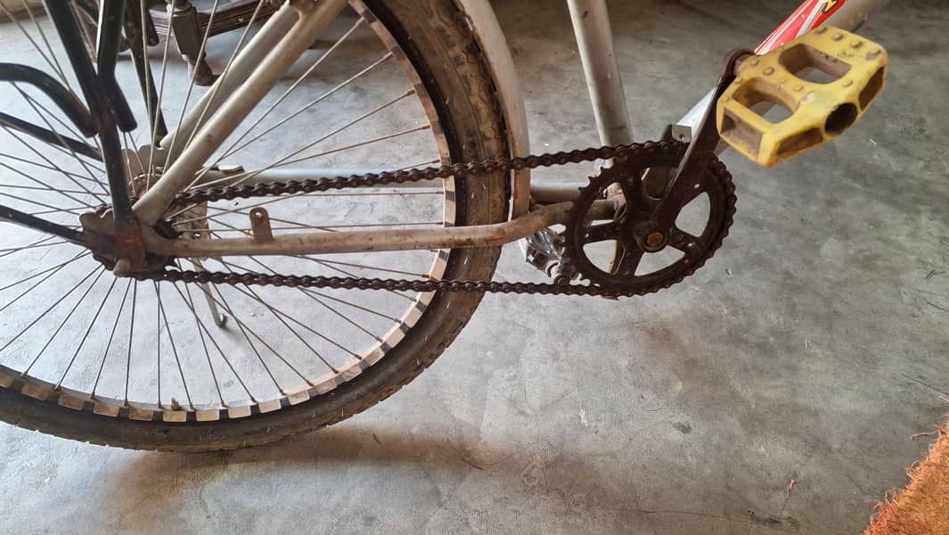 Pheonex Cycle 2