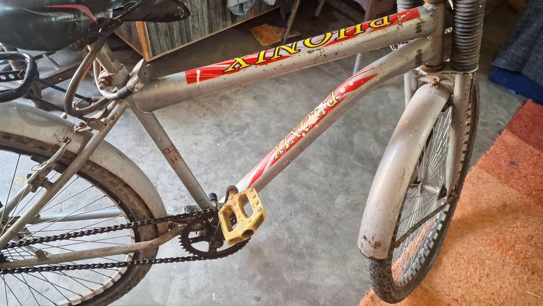 Pheonex Cycle 4