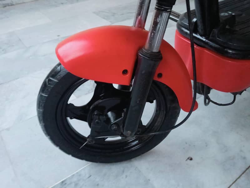 Evee Flipper 7