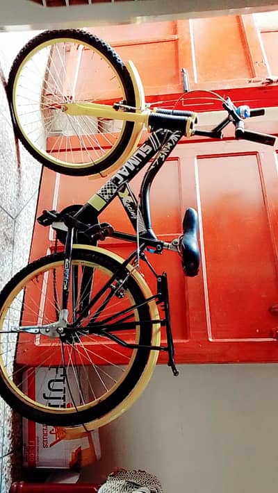 Gaint bycycle