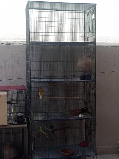 urgent sale