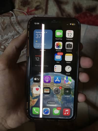 Apple iPhone X