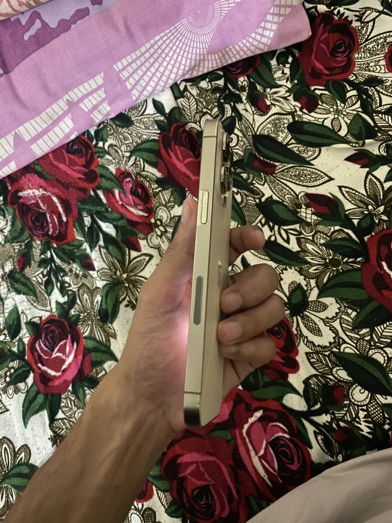 Apple iPhone 14 Pro Max 3