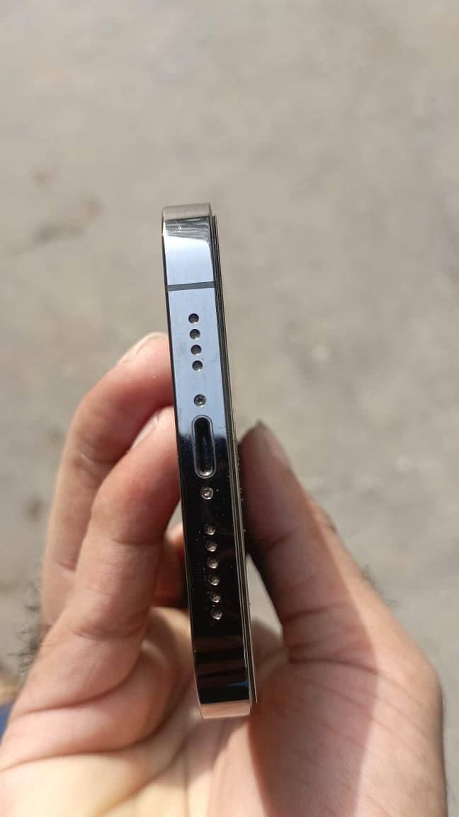 Apple iPhone 13 Pro Max 1
