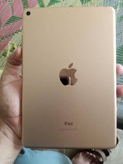 ipad mini 5