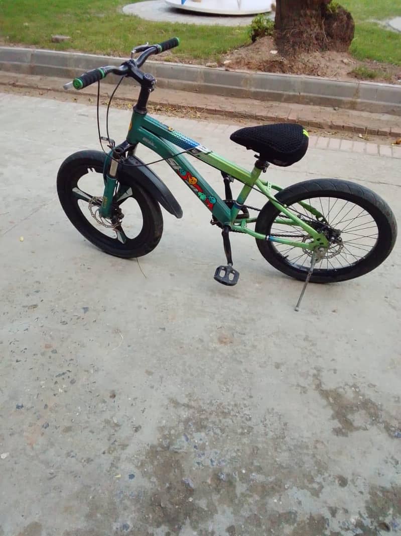 Used maintained bicycle 3