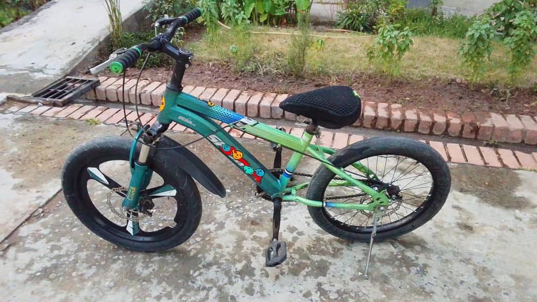 Used maintained bicycle 4