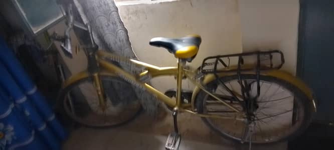 Bicycle 24"