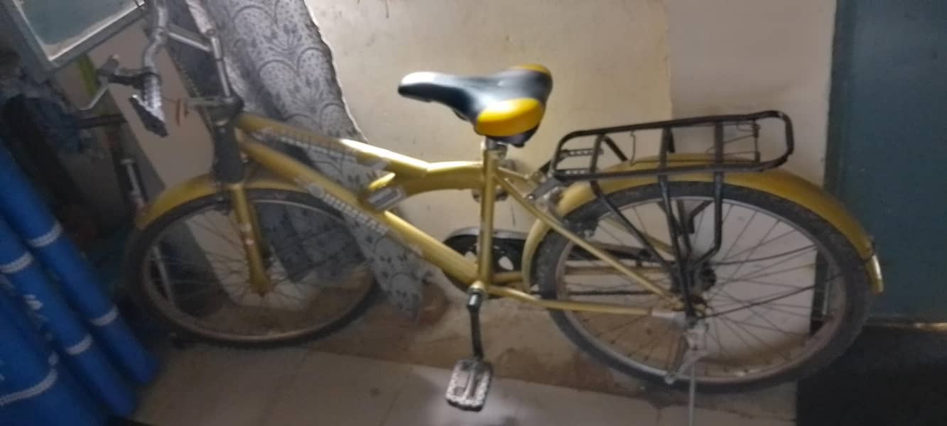 Bicycle 24" 1