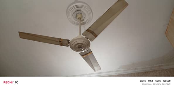 YOUSN FAN.    03334272220
