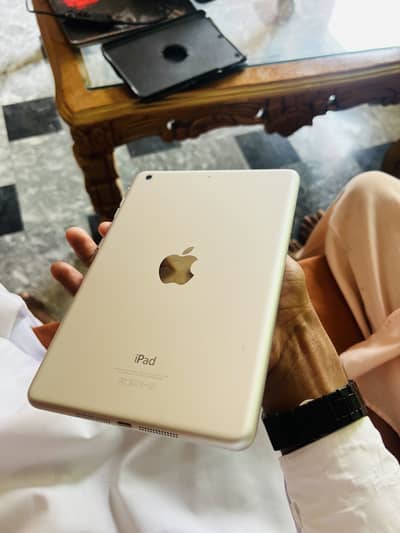 Ipad Mini 2
