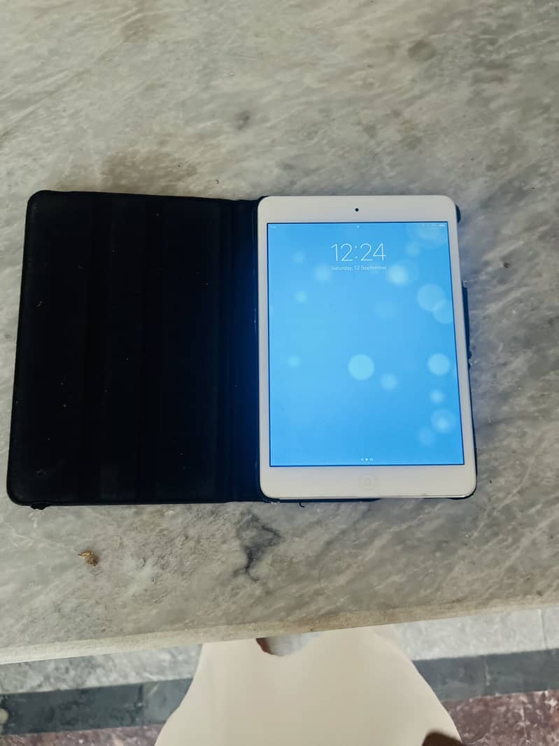 Ipad Mini 2 7