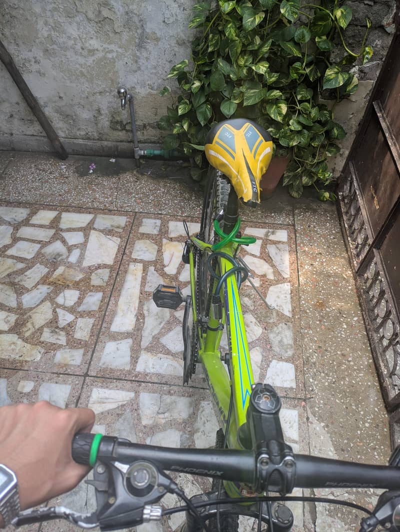 Phoenix bicycle 1