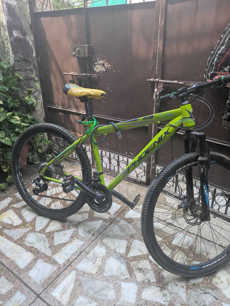 Phoenix bicycle 2