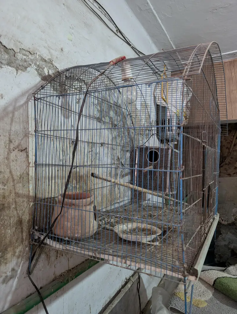 bird cage price is negotiable — photo 2