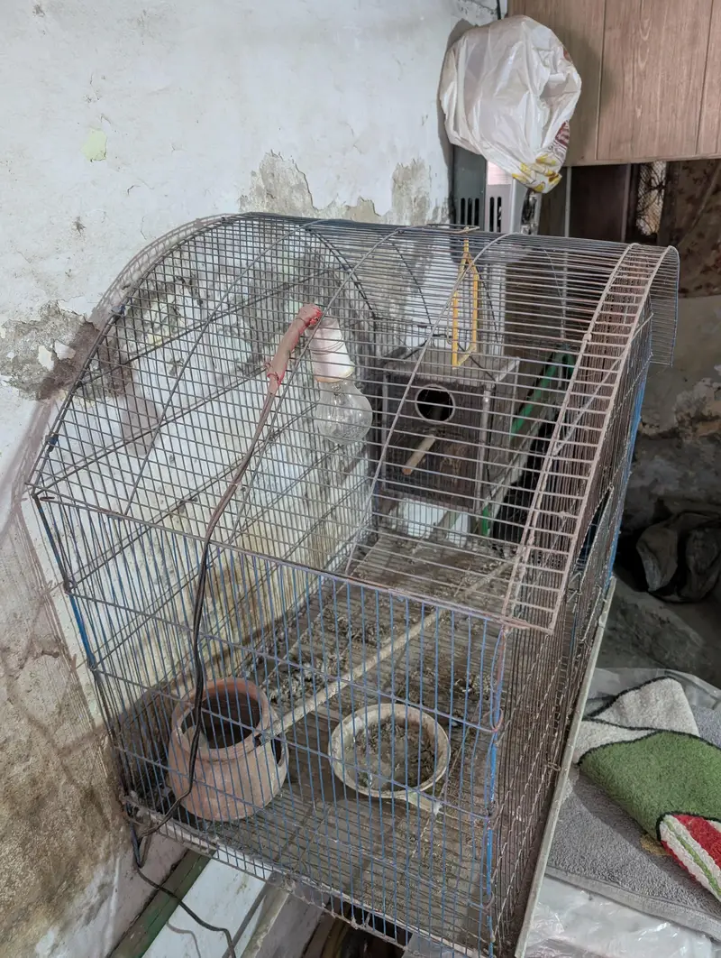 bird cage price is negotiable — photo 3