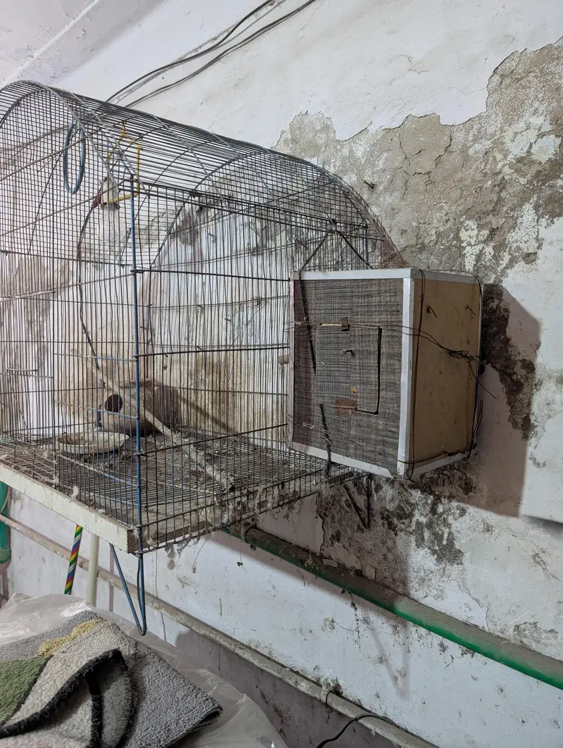 bird cage price is negotiable — photo 4