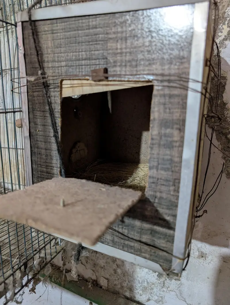bird cage price is negotiable — photo 5