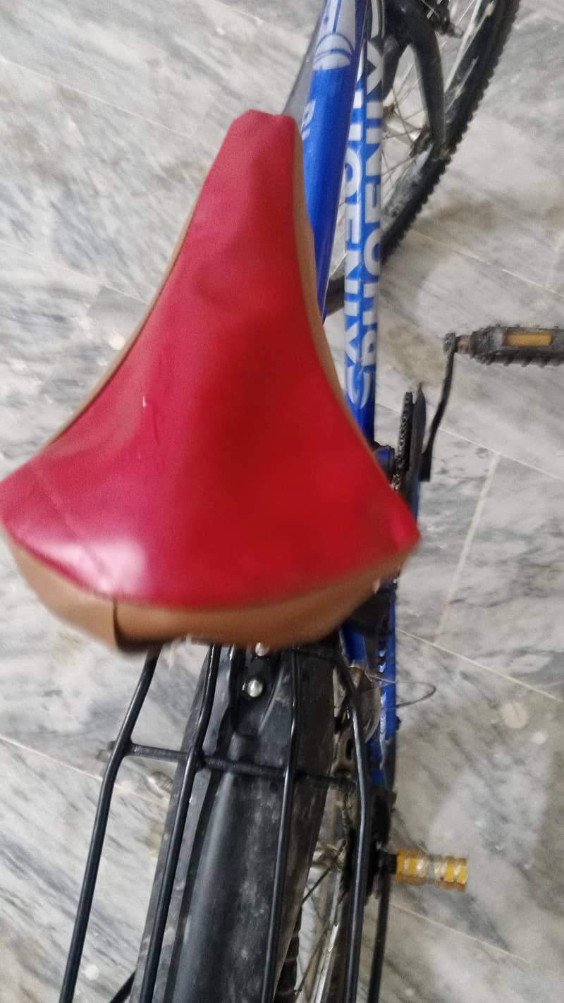 new cycle 2
