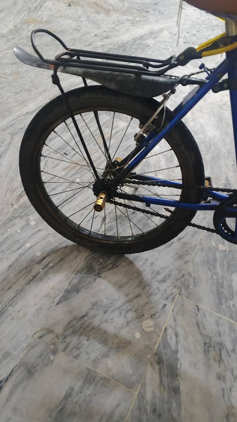 new cycle 4