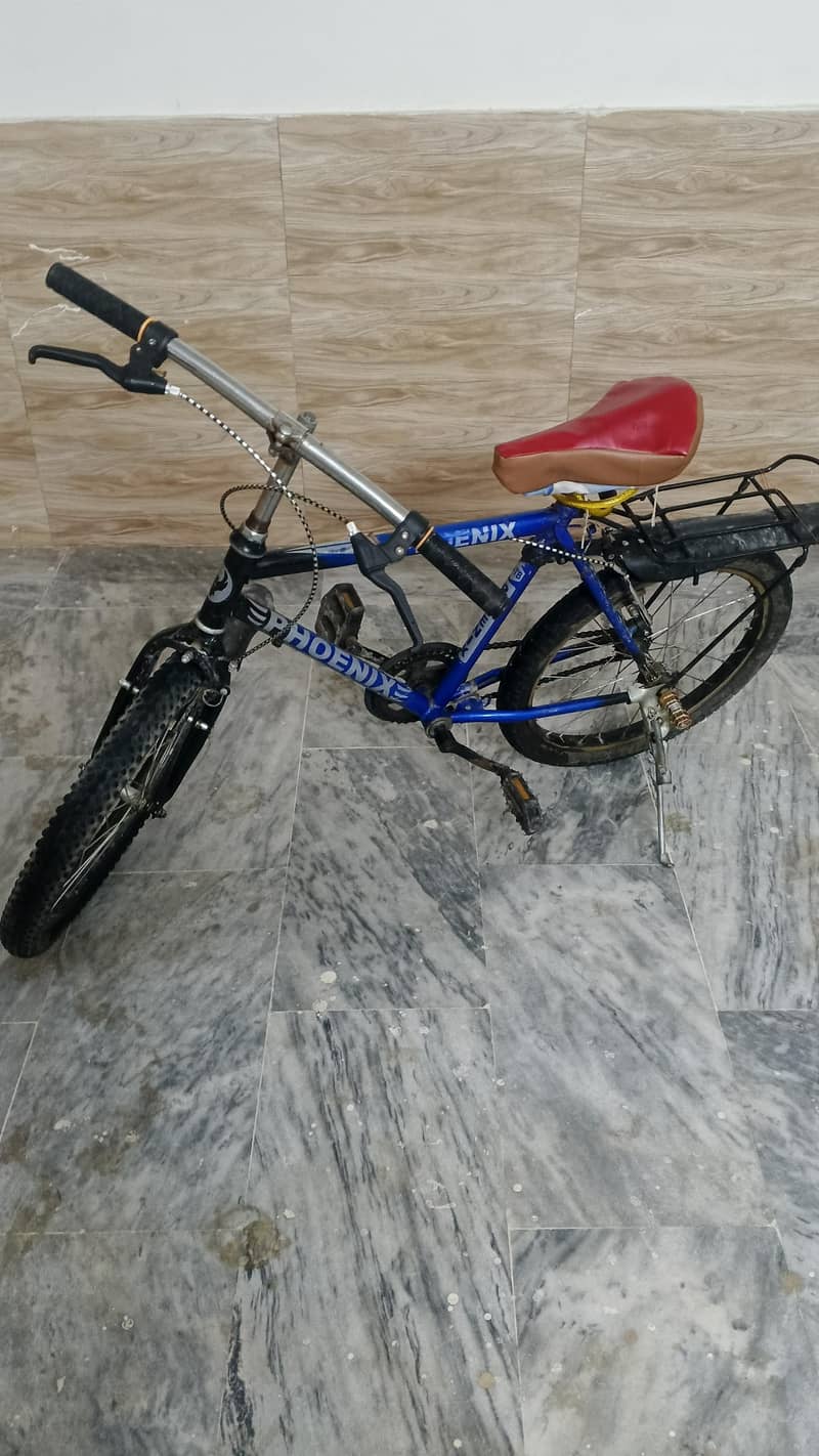 new cycle 5
