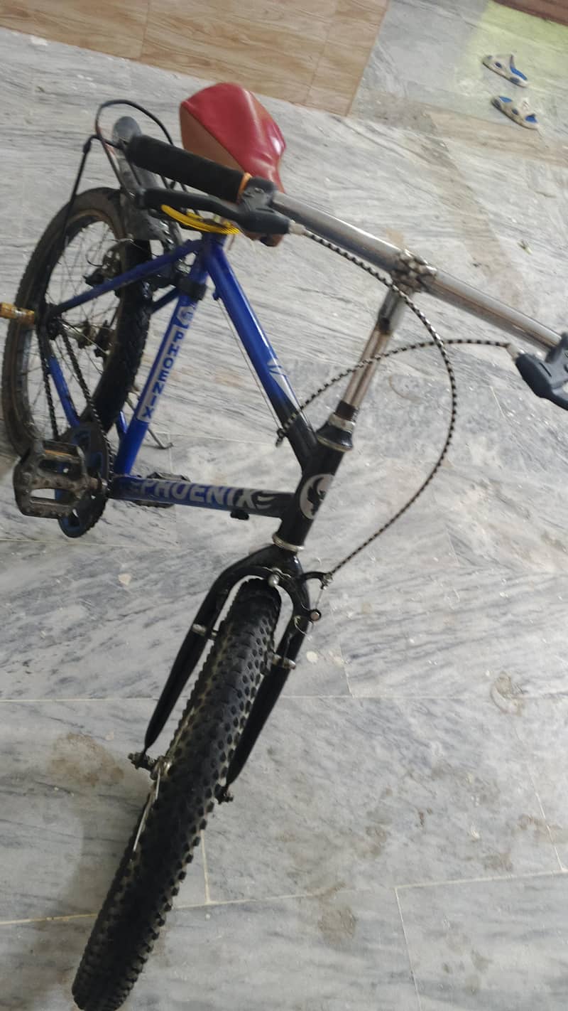 new cycle 6