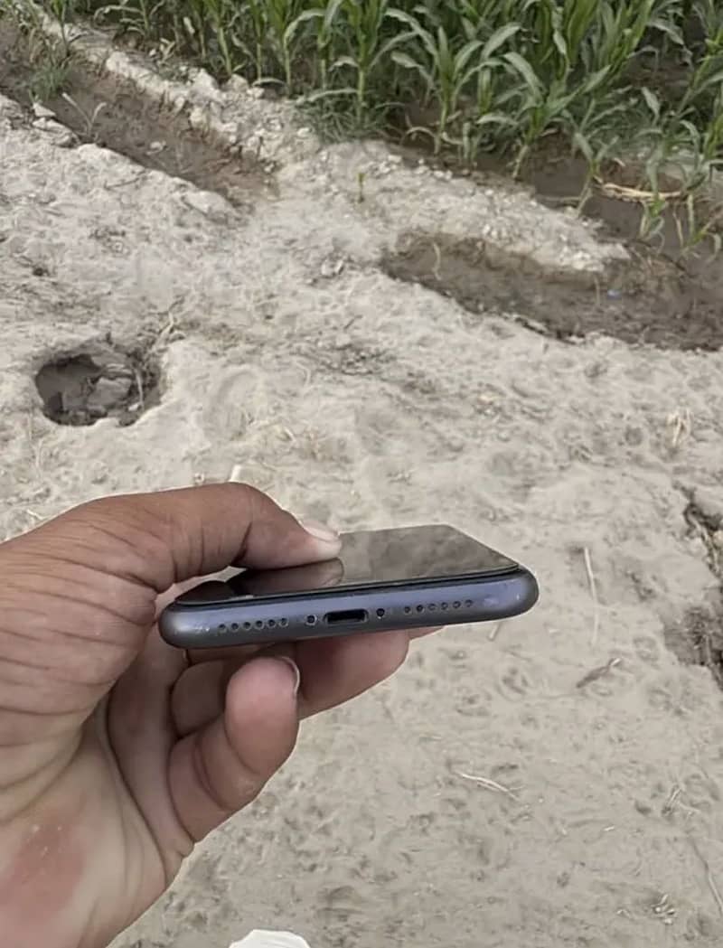 iphone 11 2