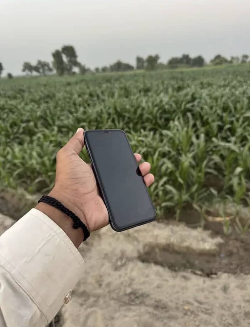 iphone 11 1