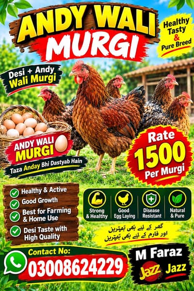 best quality chicken and eggs