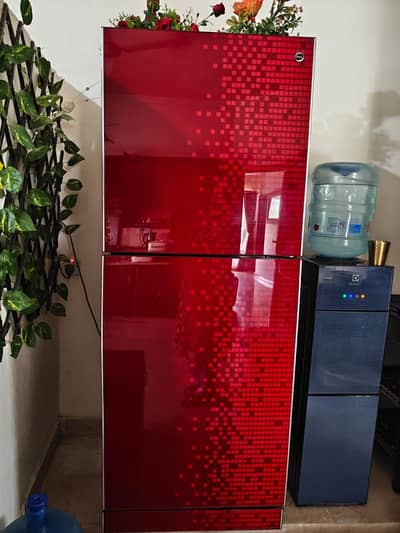 PEL Red Glass Double-Door Refrigerator – Excellent Condition