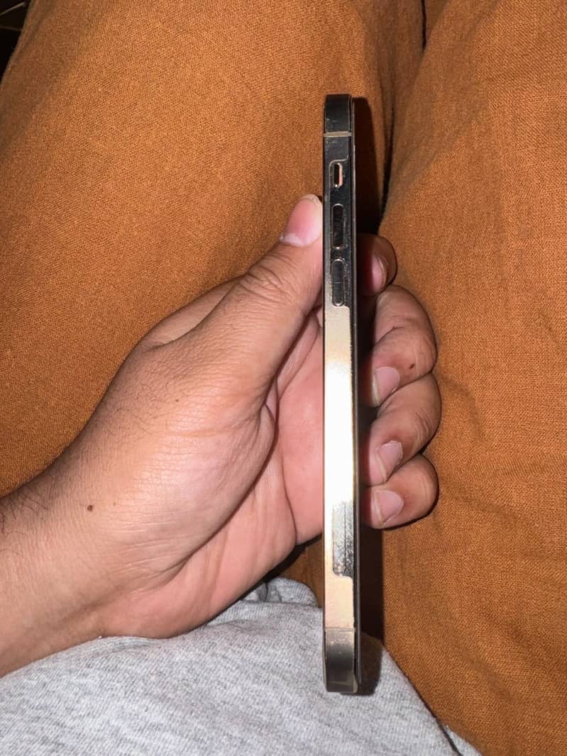 Apple iPhone 12 Pro 4
