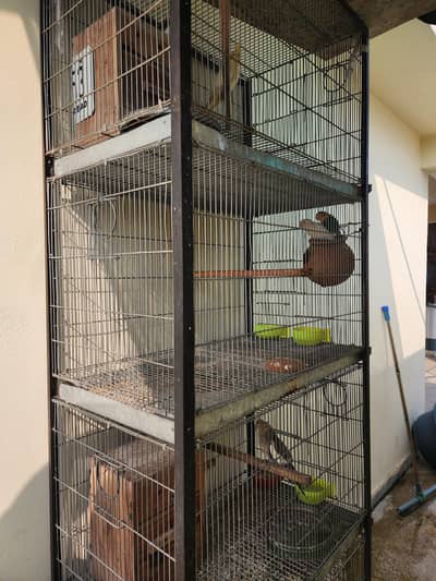 Cage big saiz